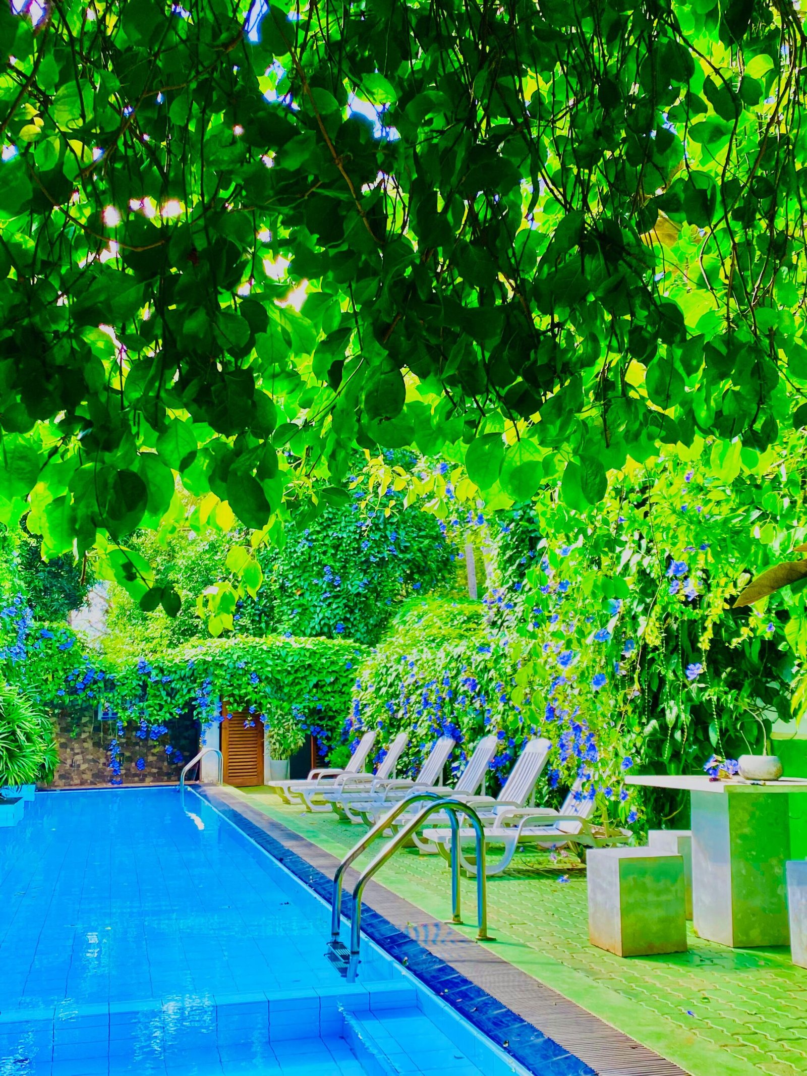 Waasala Eco Luxury Architecture